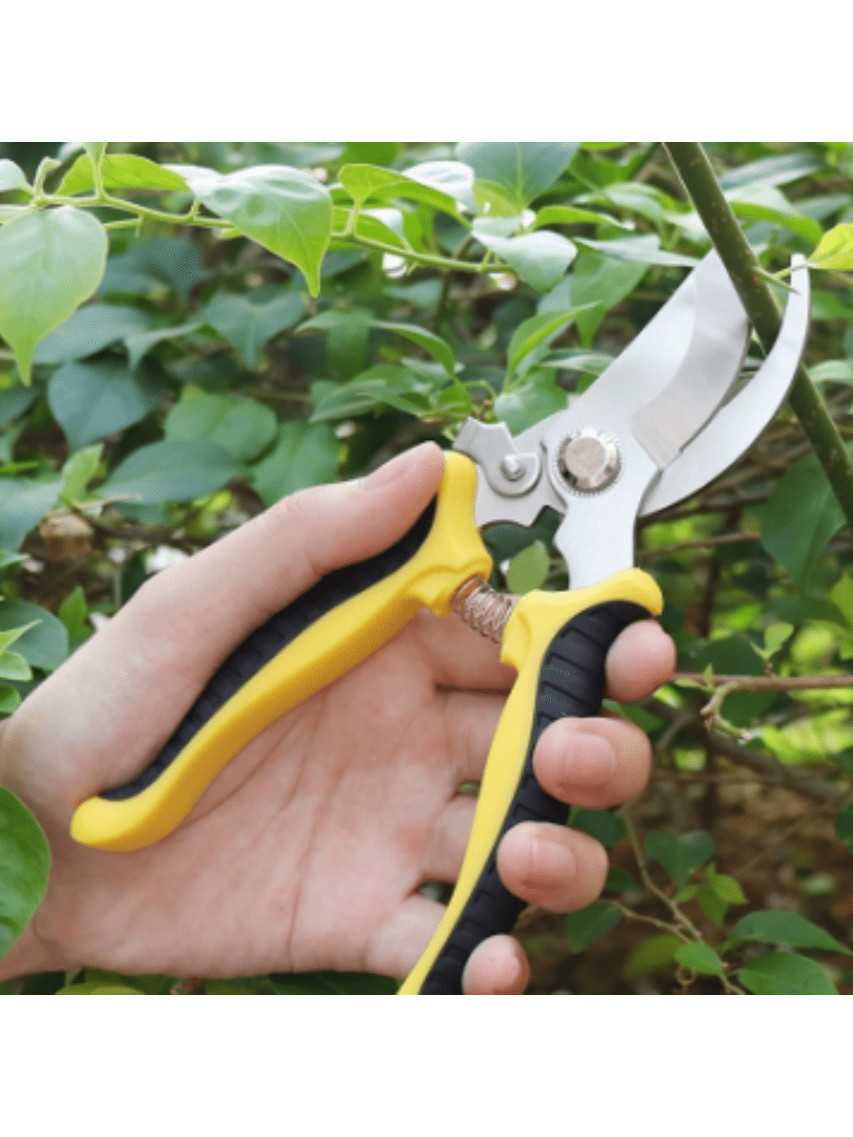 1pc Stainless Steel Tree Branch Pruning Shears, Garden Secateurs, Orchard Floral Cutting Scissors