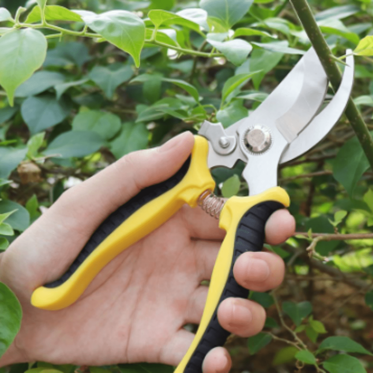 1pc Stainless Steel Tree Branch Pruning Shears, Garden Secateurs, Orchard Floral Cutting Scissors