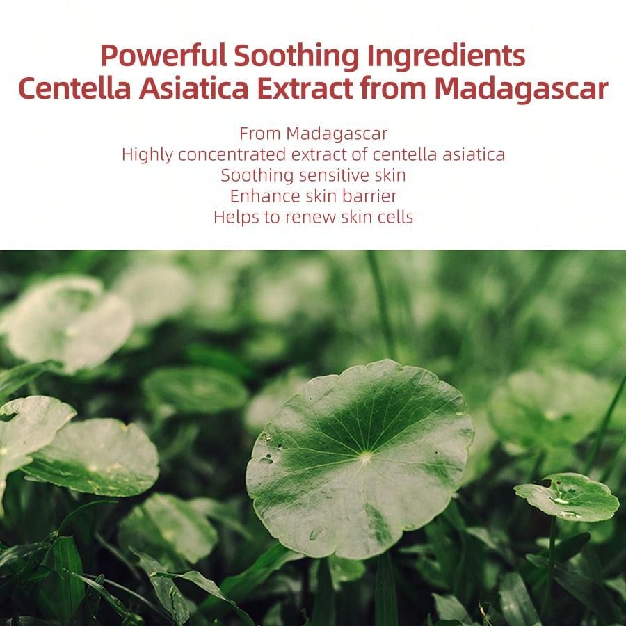 Madagascar Centella Asiatica Ampoule Facial Serum , Soothes Acne Prone And Sensitive Skin Moisturizing Skin Firming Glass Skin Care(3.38 Fl.Oz, 100ml)